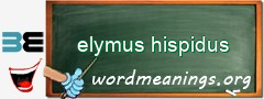 WordMeaning blackboard for elymus hispidus